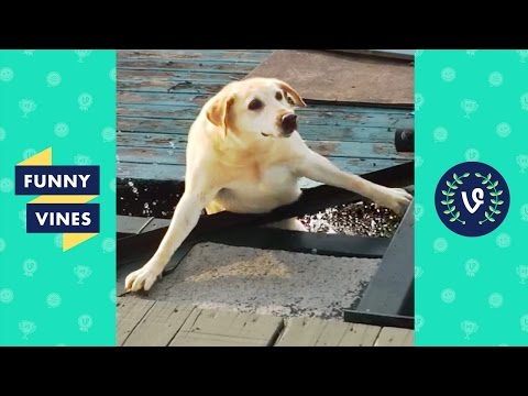 ULTIMATE Kids & Animals Fails Compilation 2018 | Funny Vines ft. Dogs & Cats