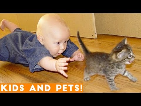Try Not to Laugh Challenge - Ultimate Cute Kids & Animals Fails April 2018 | Funny Pets Videos