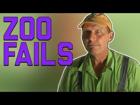 It's a Jungle Out There!: Wild Animal Fails (November 2017) | FailArmy
