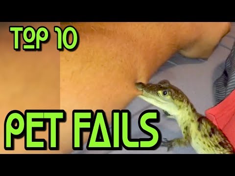 Top 10 Pet Owner Fails