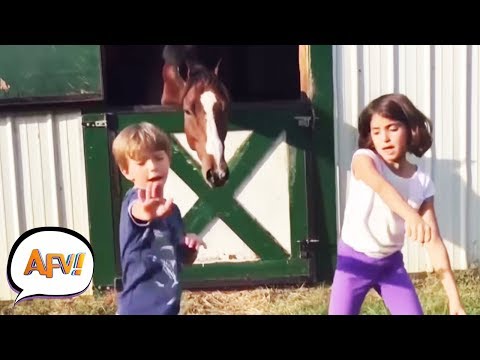 Funny Pets Videos vs. Epic Kids Fails | AFV Funniest Fail Videos 2018