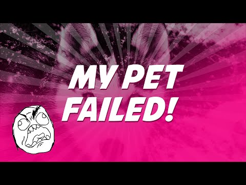 Wizard101: MEGA PET FAIL RAGE!!!