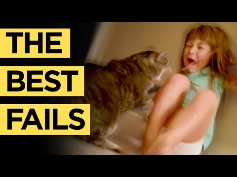 ANIMALS vs PEOPLE Ultimate Funny Fail Comp | Best Fails Funny Montage 2018 | Candid Viral Videos