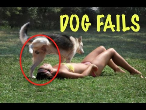 EPIC Dog Fails Compilation 2017 - Dogs on Camera!