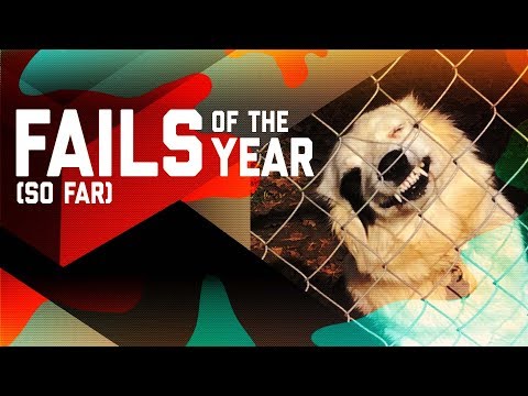 Best Fails of the Year 2018 (So Far) || FailArmy