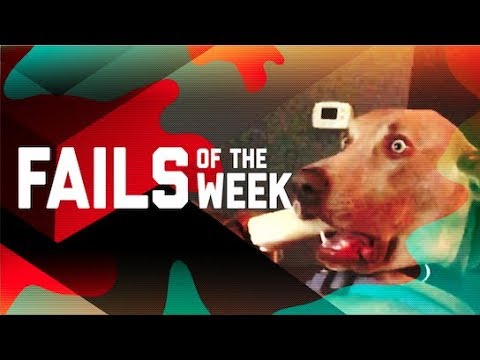 This Dog is Trippin: Fails of the Week (October 2018) | FailArmy