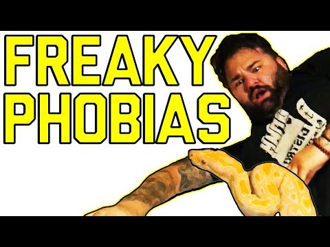 Freaky Phobias: Don't Get Scared! (September 2017) || FailArmy