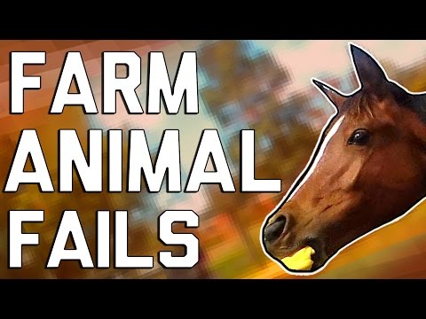 Hilarious Farm Animal Fails (January 2017) || FailArmy