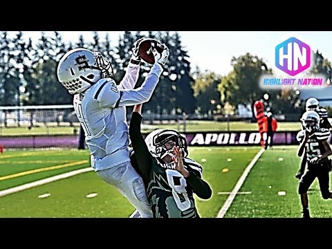 Best Football Vines 2017 · College Football Jukes, Hits, Celebrations, Highlights and Fails