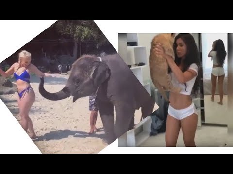 Animal Fail's / Zoo Fails