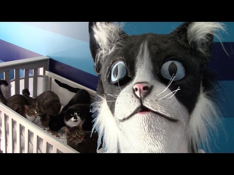 CatDad Feeds His Kitties In Cat Mask Fail! (Original Video)