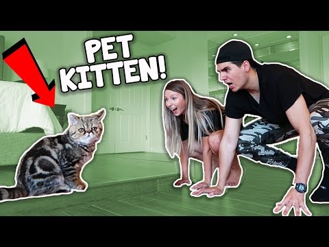 Training Our Pet Kitten! (Hilarious Fail)