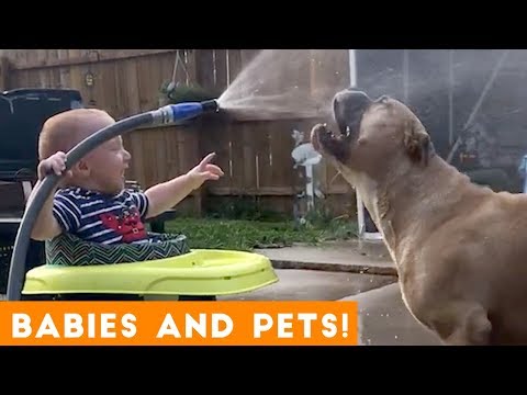 Most Adorable Pet and Baby Compilation Ever | Funny Pet Videos