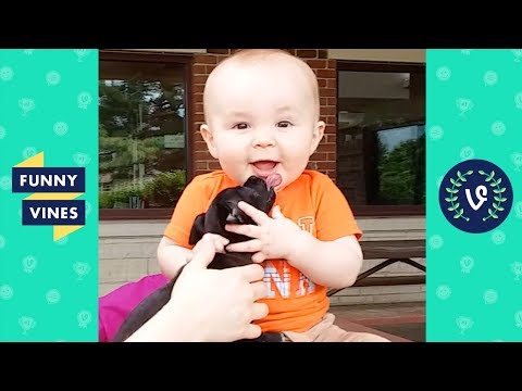 TRY NOT TO LAUGH - KIDS BABIES & DOGS! | Funny Videos November 2018
