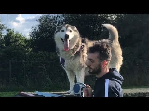 Our first day at dog agility, (EPIC FAIL)