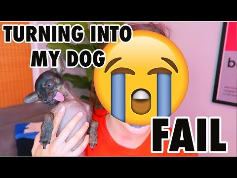 TURNING INTO MY DOG FAIL: Not Lickbait