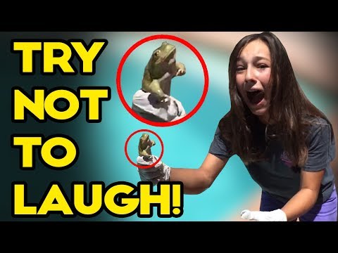 TRY NOT TO LAUGH! Ultimate Fail Medley of Girl, Sports, Animal, Kid Fails and Funny Vines